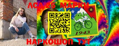 гидропоника Сланцы