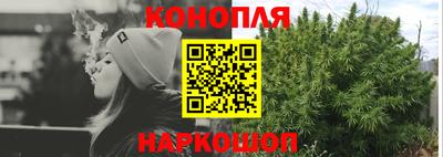 гидропоника Сланцы