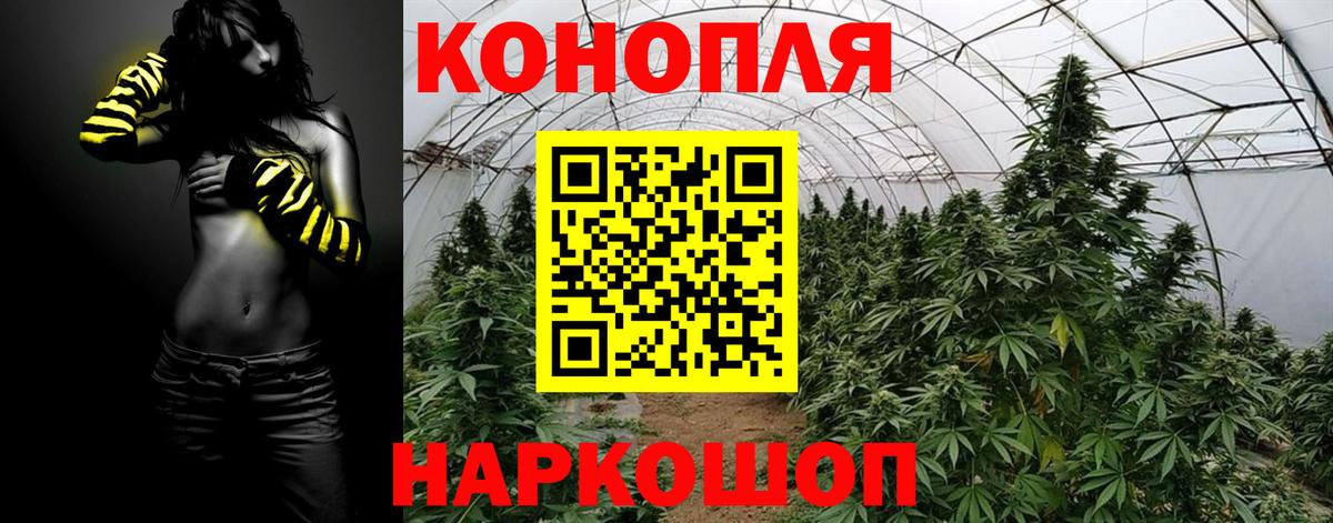 Марихуана OG Kush Санкт-Петербург